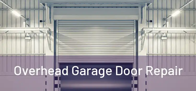  Overhead Garage Door Repair 